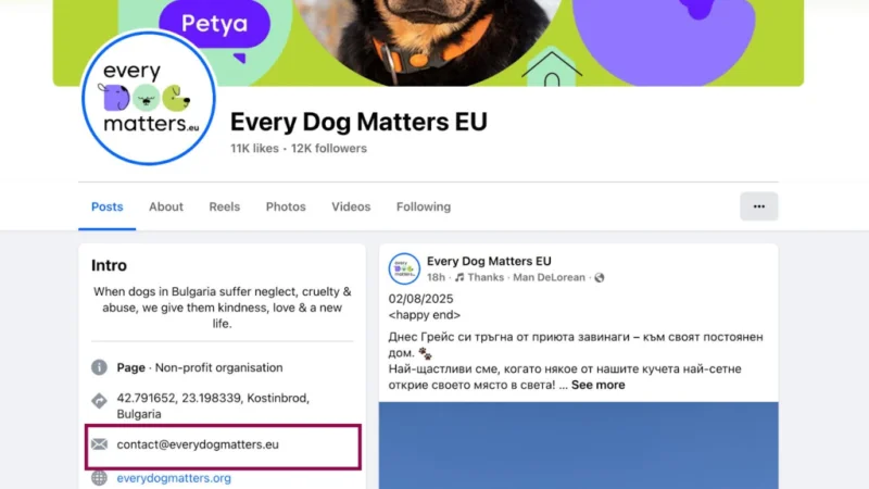 15 Great Ways to Find Someone’s Email Address in 2025