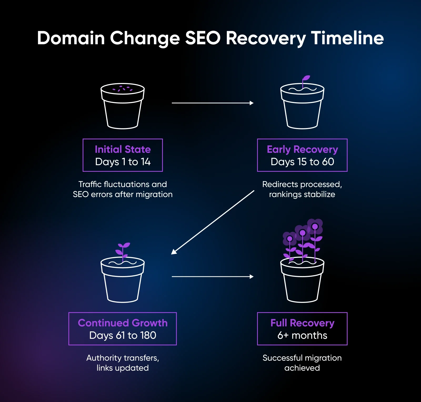 Risk-Free Domain Migration Guide for Business Owners (2025)
