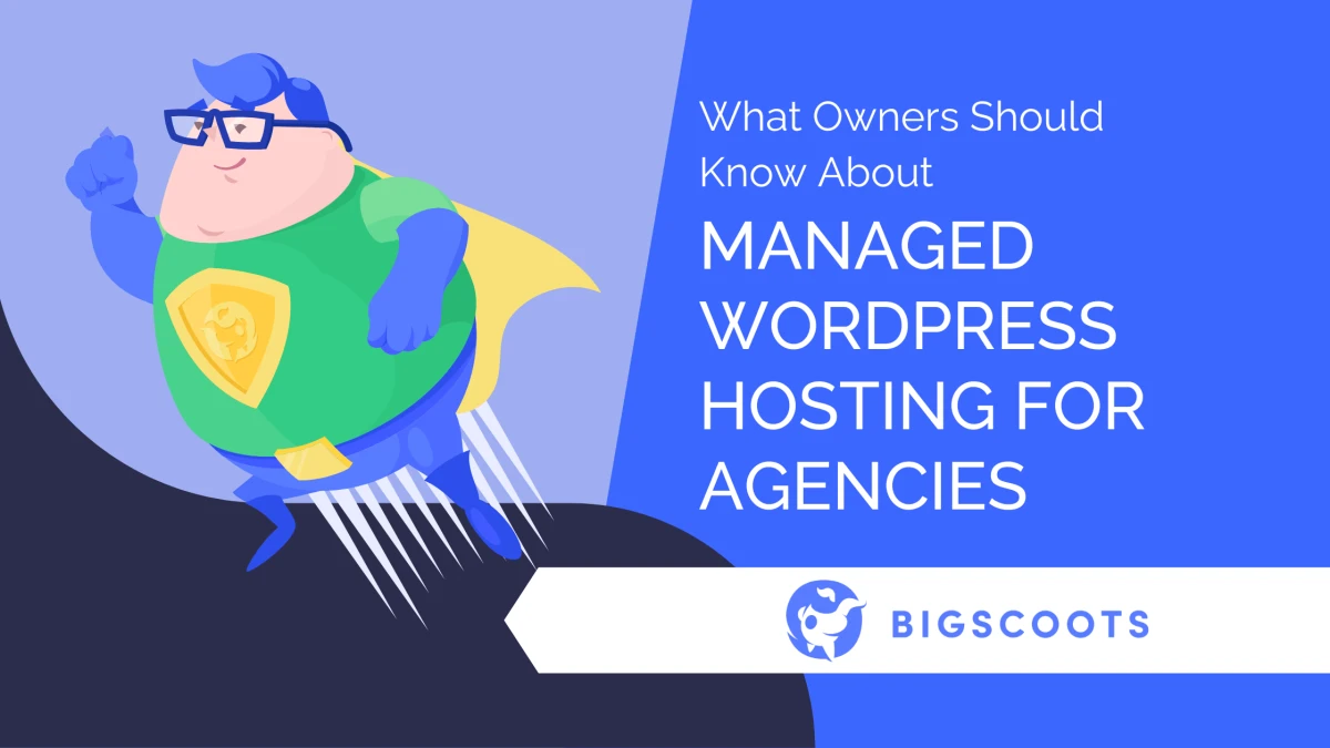 Управляемый хостинг WordPress для агентств: ключевые аспекты для владельцев