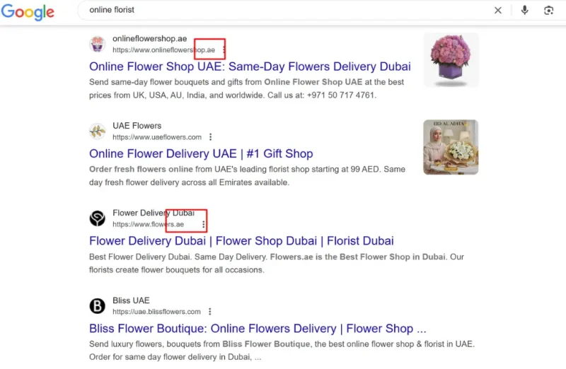.COM vs .NET vs .ORG: which TLD should you choose?