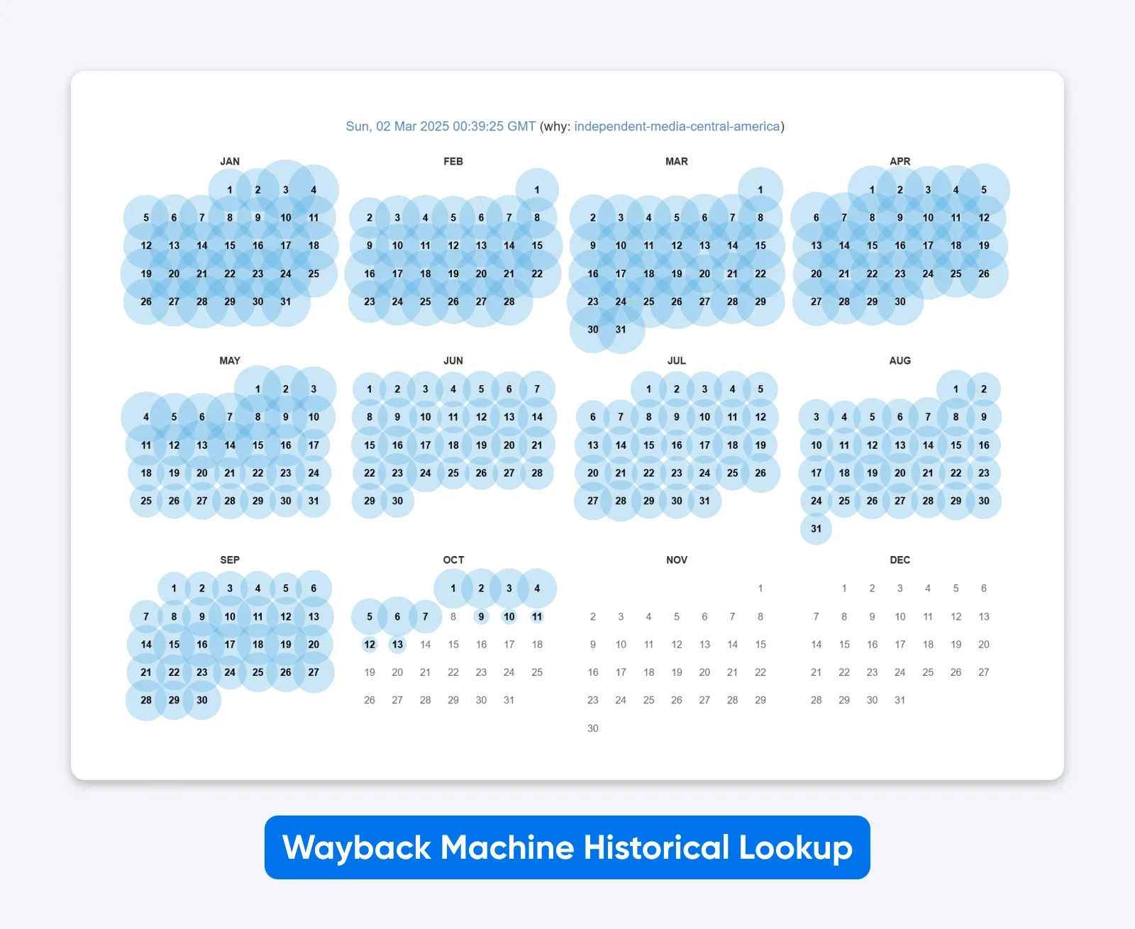 How To Choose the Perfect Domain Name (Key Tests, AI Prompts, and More)