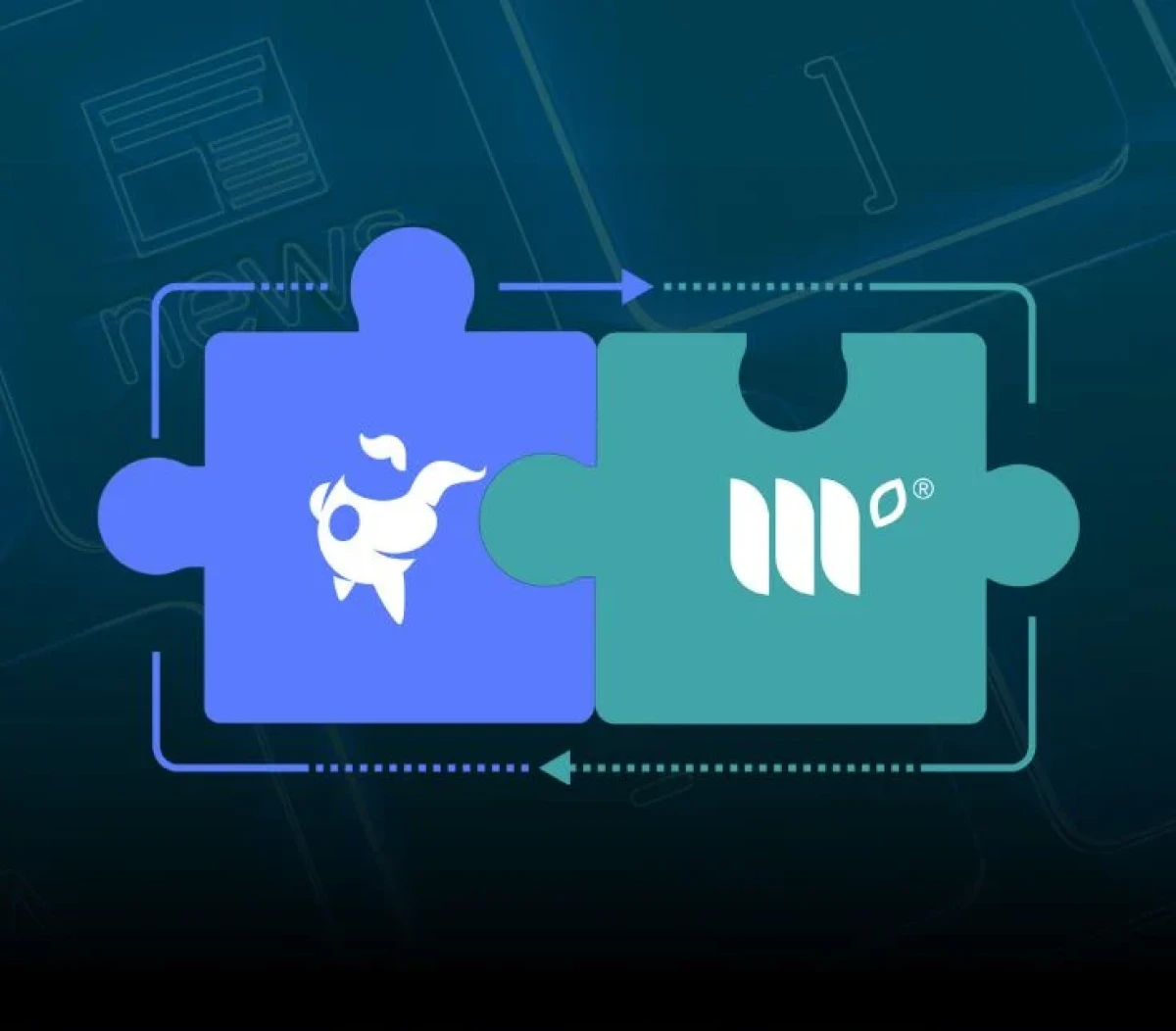 BigScoots и Mediavine: как ускорение сайта повышает доход от рекламы