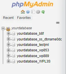 Clone Your WordPress Website: Step-by-Step with Plugin & Manual Options