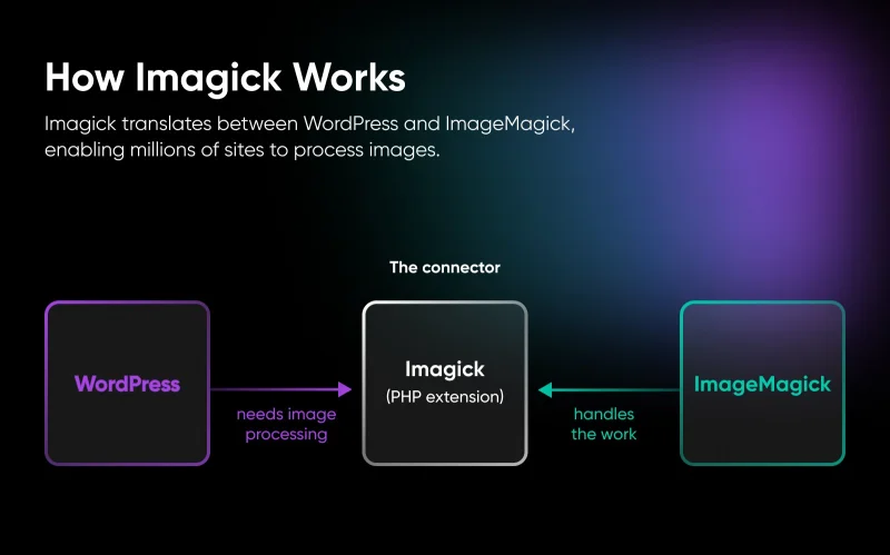 Meet Imagick and the Unsung Heroes Keeping the Web Afloat