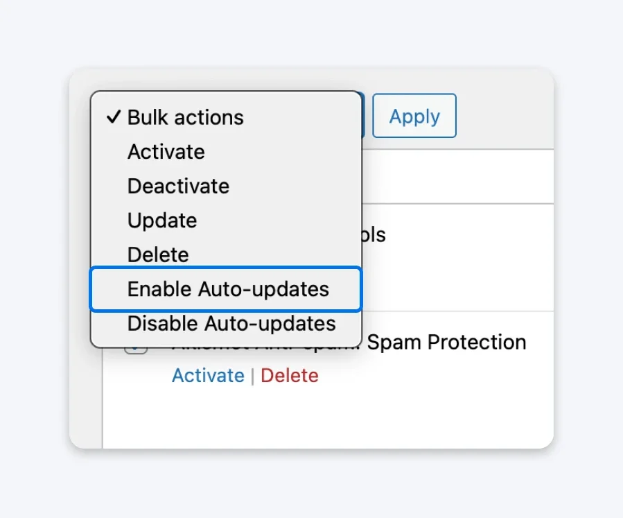 Should You Enable WordPress Automatic Updates?
