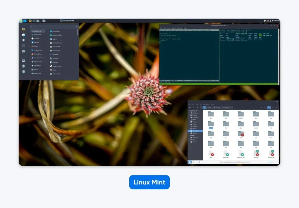 A Deep Dive Into Today’s Best Linux Distros