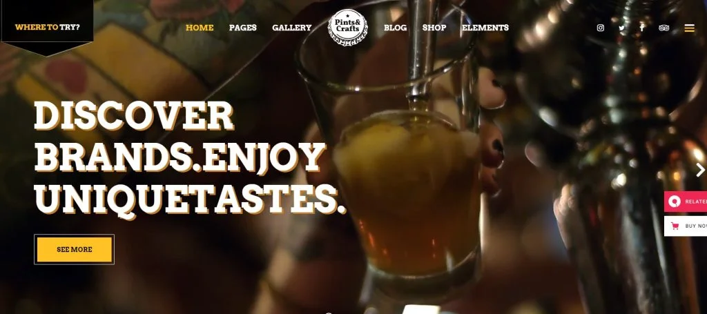 17 Best WordPress Themes for Bars and Pubs