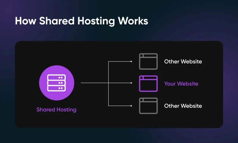 VPS vs. Shared Hosting: 7 Key Differences and How To Choose