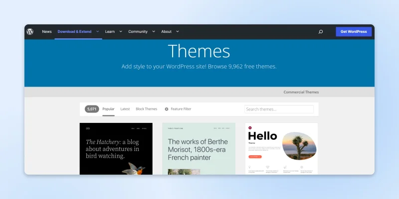 So You Want To Build Your Own Custom WordPress Theme?